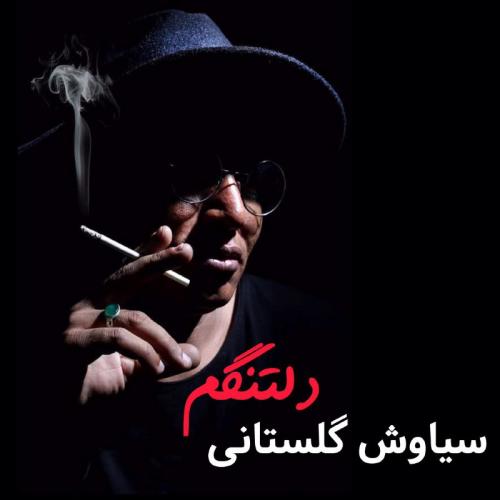 سیاوش گلستانی دلتنگم